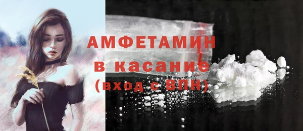 шишки Алексин