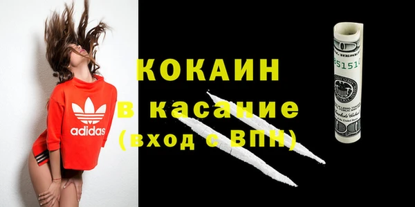 шишки Алексин