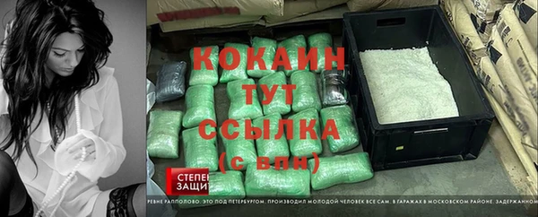 шишки Алексин