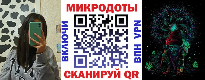 Галлюциногенные грибы Psilocybine cubensis  Старая Русса 