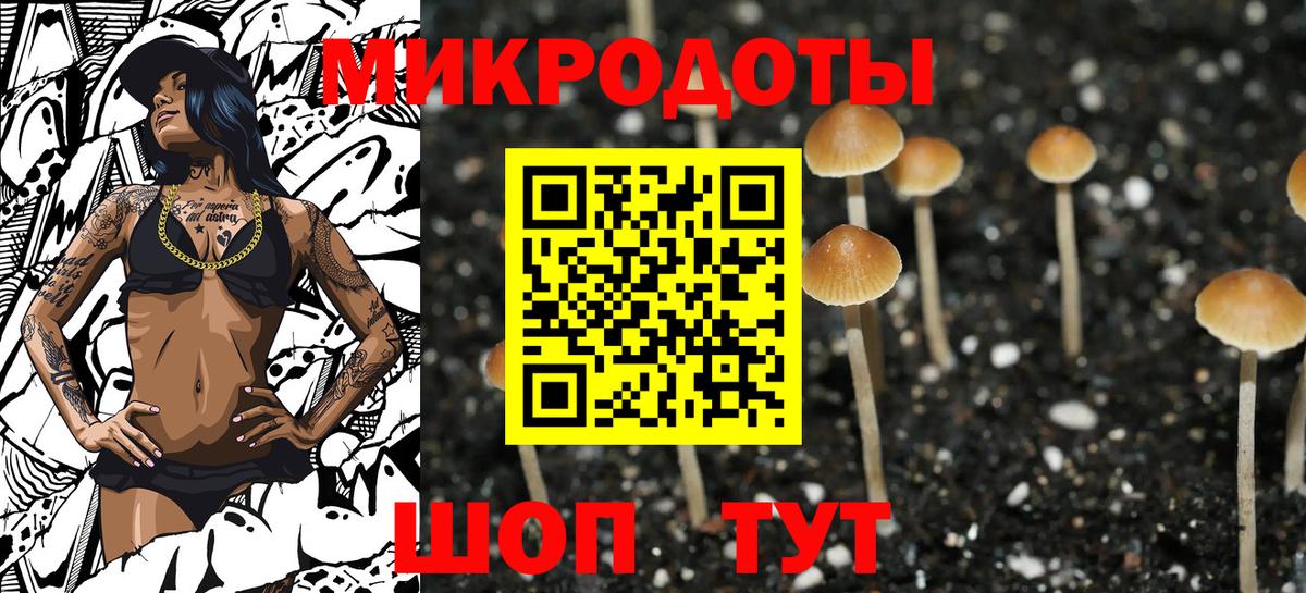 закладки  Галлюциногенные грибы мицелий  Вход с VPN  Старая Русса 