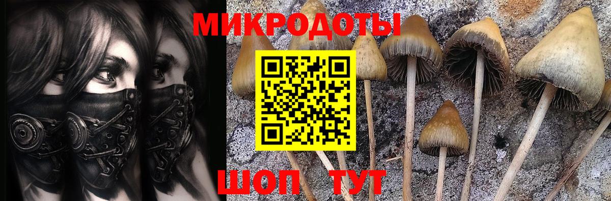 Галлюциногенные грибы прущие грибы Старая Русса